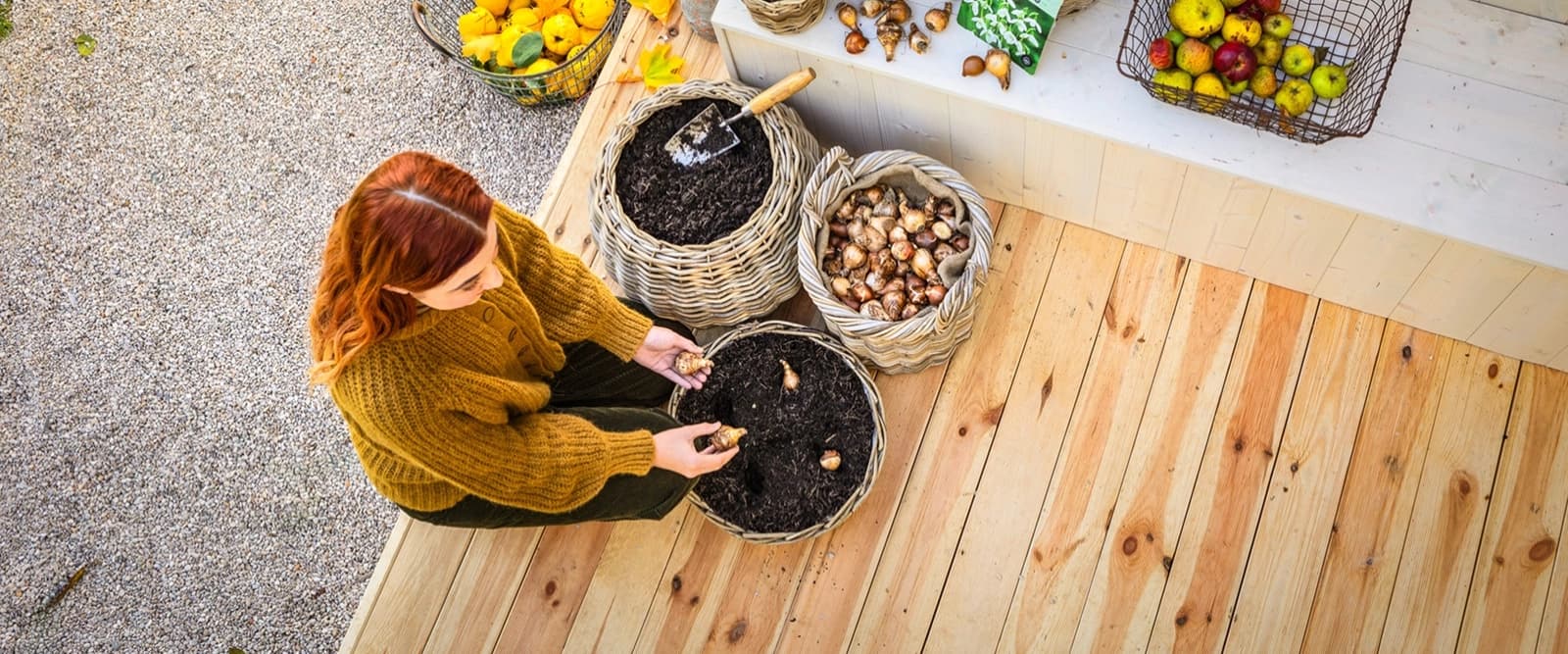 Jetzt den Frühling pflanzen