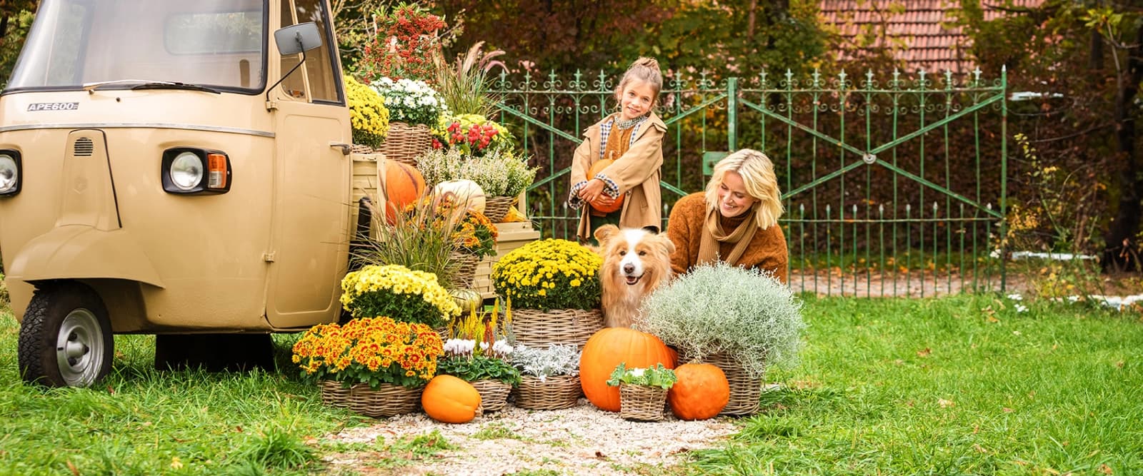 Unsere Herbst-Highlights sind da