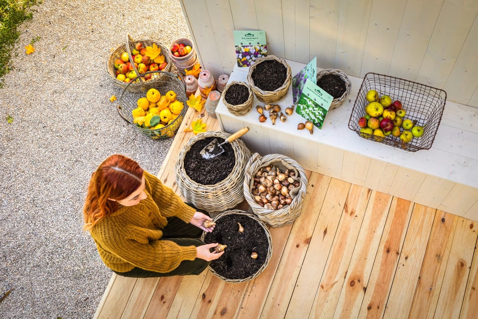 Jetzt den Frühling pflanzen