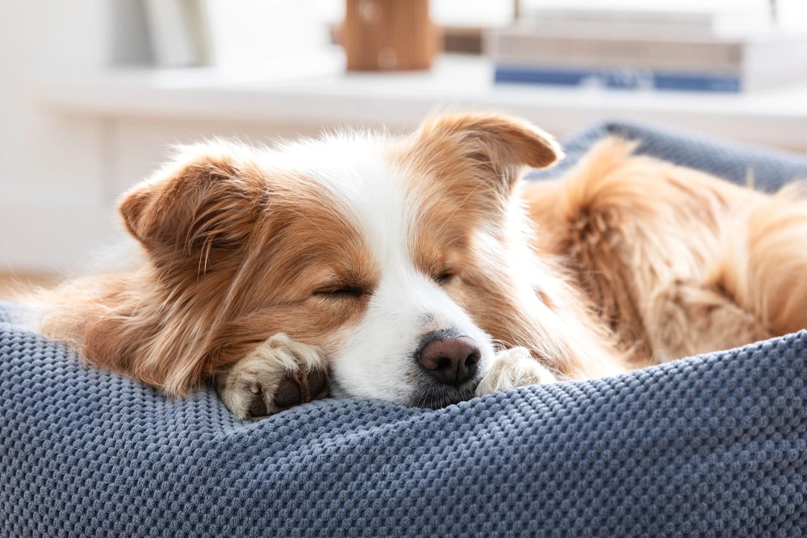 Kuschelzeit
