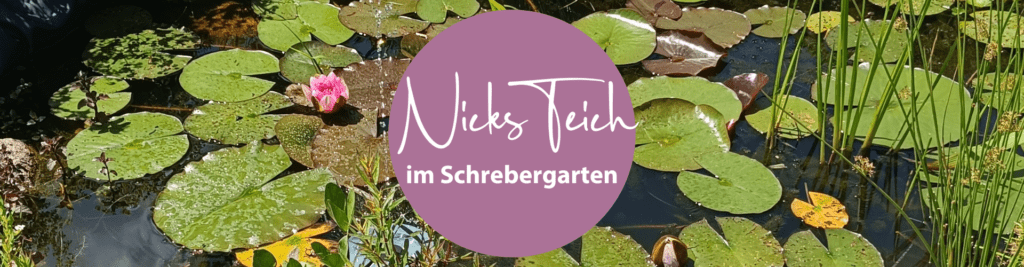 dehner-header-teich-schrebergarten